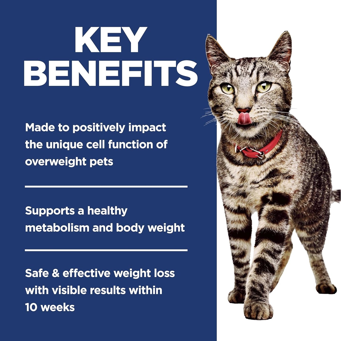 Hill'S Science Diet Dry Cat Food, Adult, Perfect Weight for Healthy Weight & Weight Management, Chicken Recipe, 3 Lb. Bag